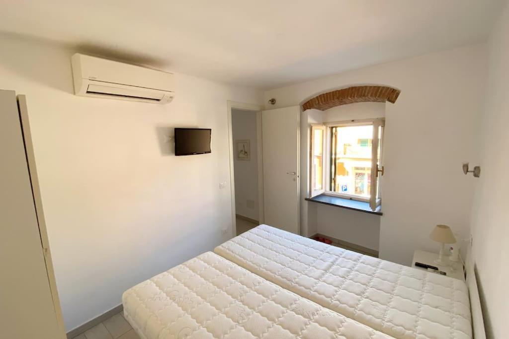 Antonella House, *